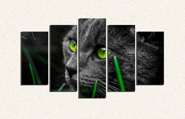 Cuadro 5 piezas gatos ojos verdes