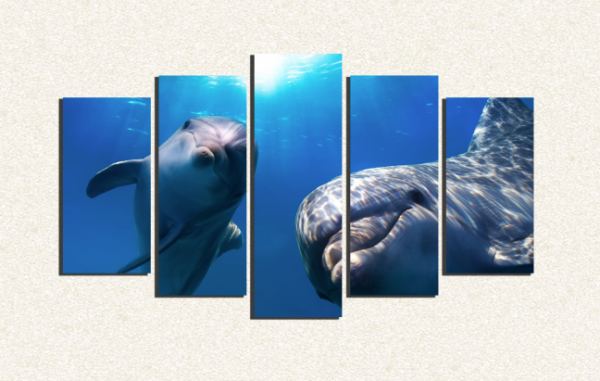 Cuadro 5 piezas Delfines Mirando